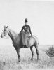 1688dc48ffb7c60f0c7ebee689da59e8--maria-feodorovna-side-saddle.jpg