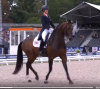 Dressage Stars - Google Chrome 2019-08-30 16.52.47.png