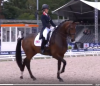 Dressage Stars - Google Chrome 2019-08-30 17.13.52.png