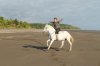 bareback-bridleless-beach-horse.jpg