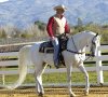 1012 Western Dressage.jpg