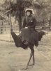 ostrich_riding.jpg