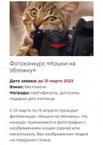 Screenshot_20230313-213554_Yandex.jpg