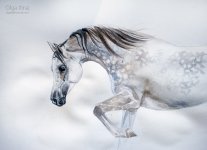 olga-itina-artwork-large-113291.jpg