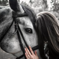 We_Love_Horses❤