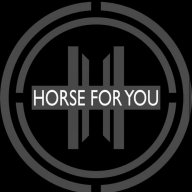 horse.for.you