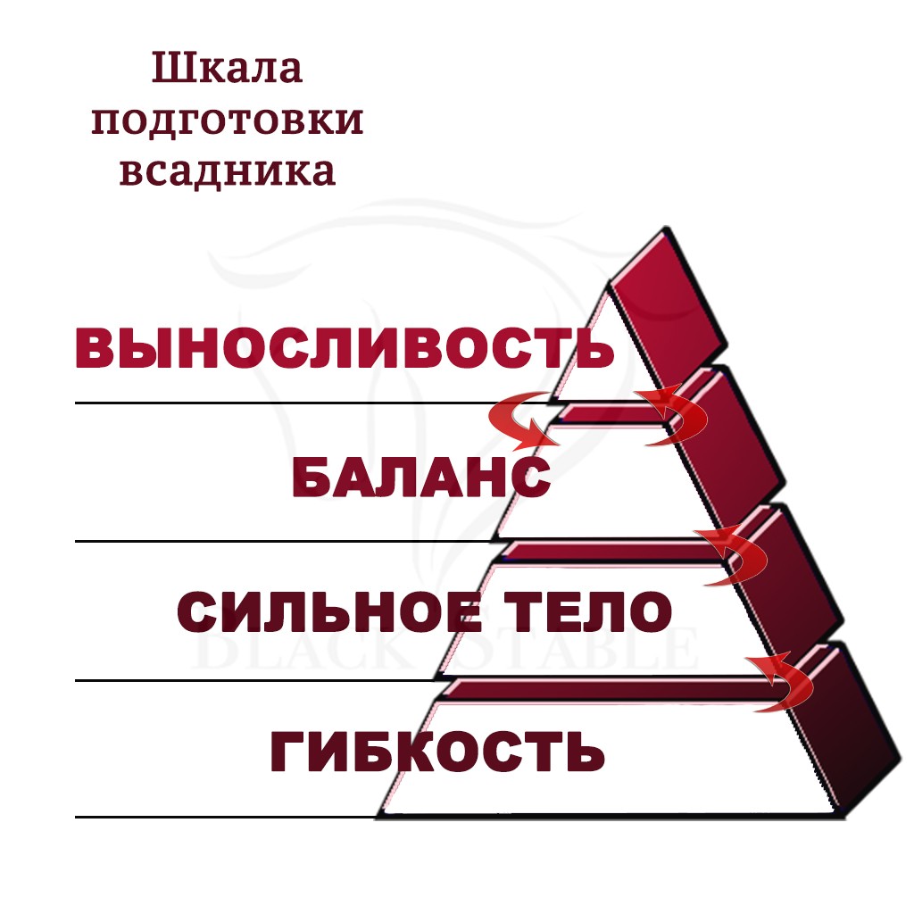 Статьи, #ФитнесДляСедла: базовые понятия, шкала подготовки всадника, начало  тренировок | Prokoni.ru