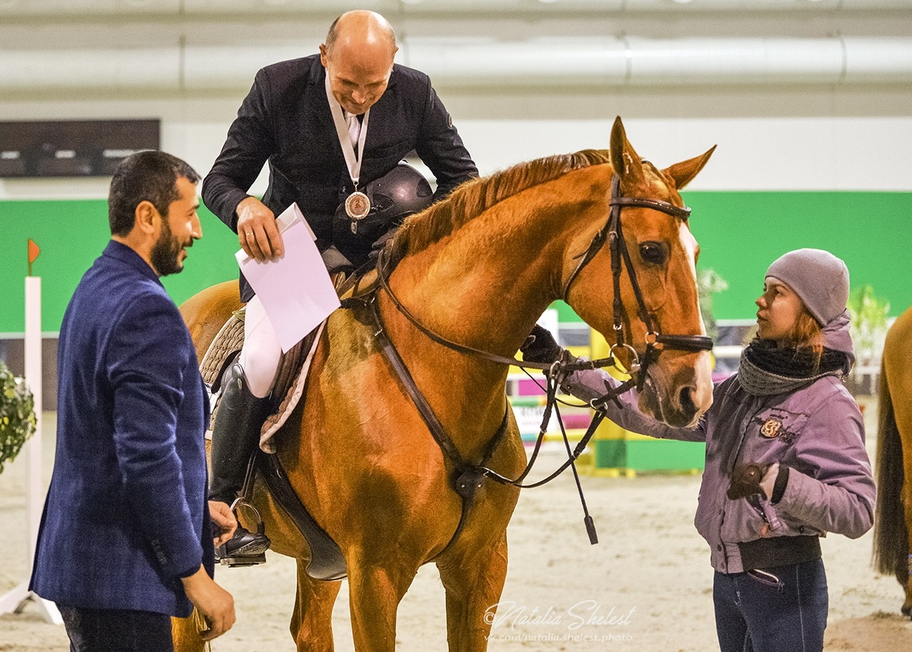 Golden horse отзывы. КСК Голден Хорс. КСК Золотая лошадь Самара. КСК Golden Horse, Таганрог.