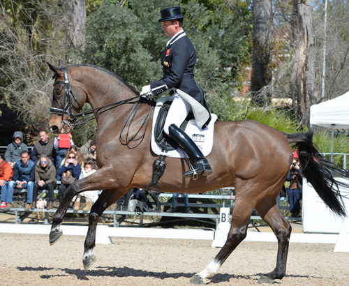 ÐÐ°ÑÑÐ¸Ð½ÐºÐ¸ Ð¿Ð¾ Ð·Ð°Ð¿ÑÐ¾ÑÑ Carl Hester and Nip Tuck